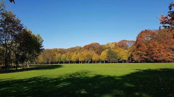 Het Rivierenhof in Deurne in de herfst